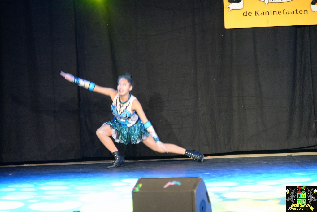 ../Images/Dansmariekefestival 2020 017.jpg